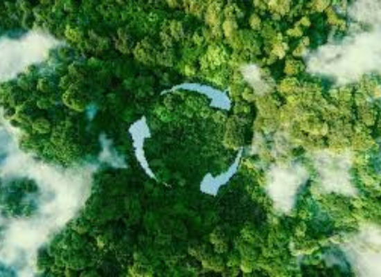 Sustainability and Emerging Assurance